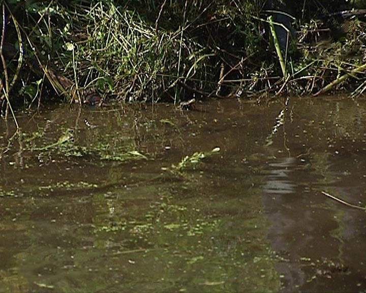 Водоём0826.jpg