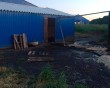 Гибель-на-ферме3-0607.jpg