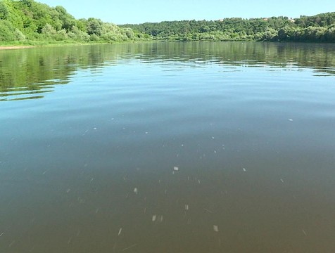 Подростка унесло течением Оки