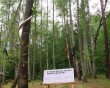 Детское-Архстояние8-0628.jpg