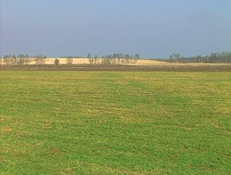 Ферзиковская экс-чиновница получила условный срок за мошенничество