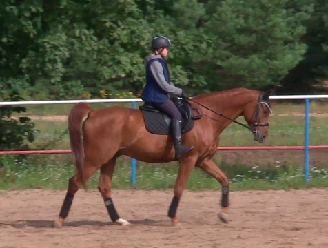15-летняя спортсменка показала хороший результат на конных соревнованиях