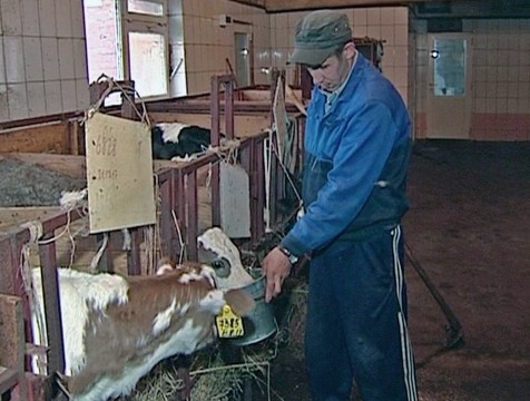 23 фермера получат гранты на развитие хозяйства