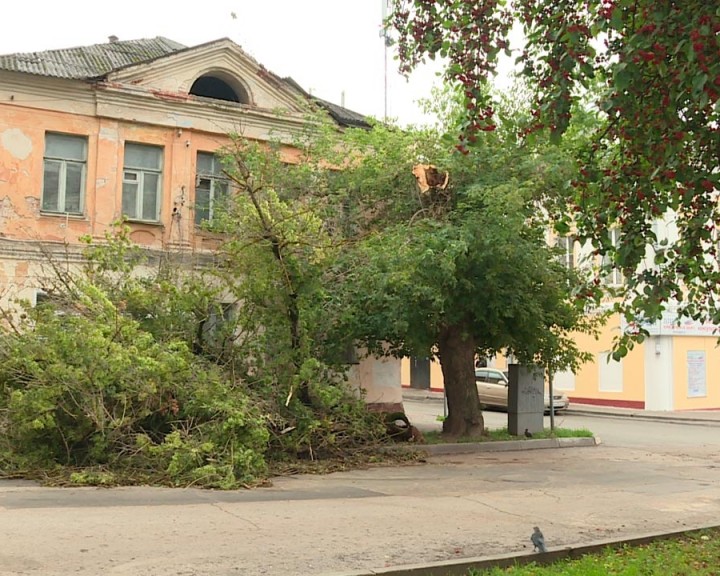 Последствия-непогоды1-0809.jpg