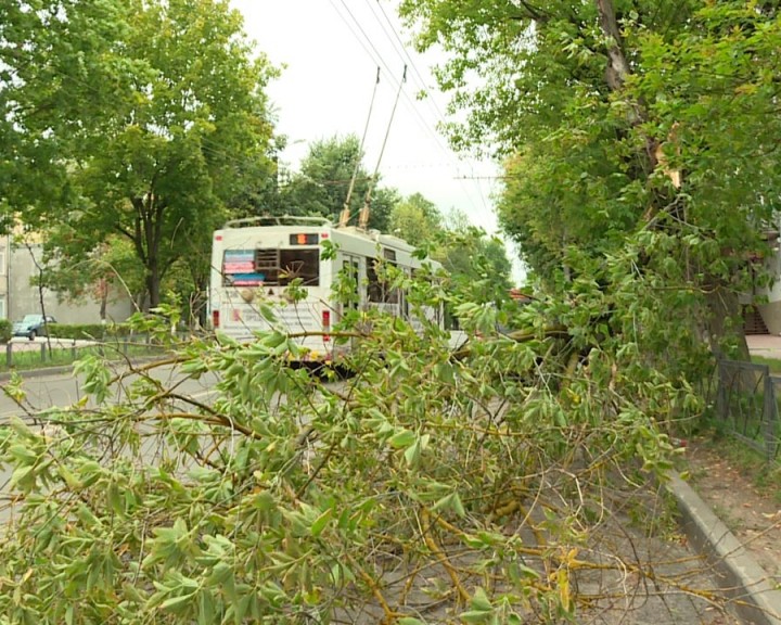 Последствия-непогоды4-0809.jpg