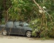 Последствия-непогоды3-0809.jpg