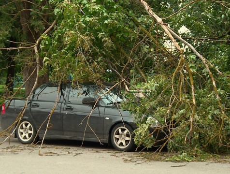 11 сообщений о ЧП во время непогоды приняли в службе спасения