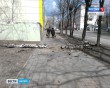 Дерево-упало-1-0403.jpg