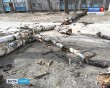 Дерево-упало-2-0403.jpg