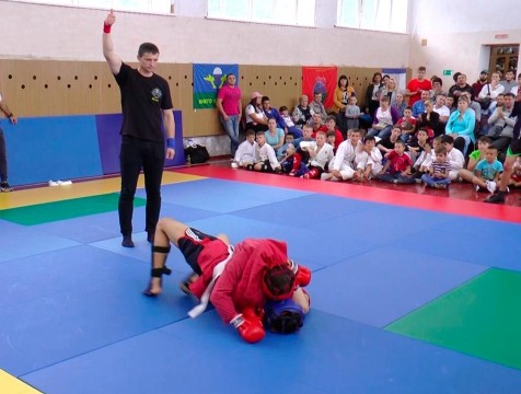 Алексей Егоров и Геннадий Капшай стали гостями ермолинского турнира по рукопашному бою