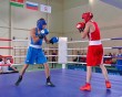 Бокс-Боровск2-0819.jpg