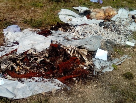 Свалку биологических отходов ликвидировали около деревни Адлеровки