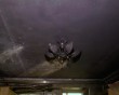 Пожар-в-Балабанове1-0822.jpg