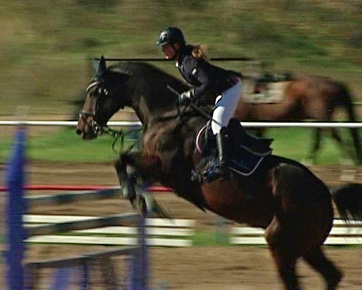 Конный-спорт0925.jpg