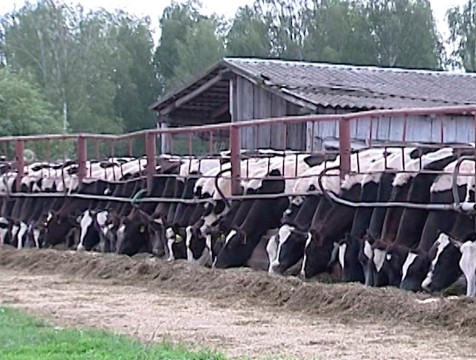 69 миллионов рублей получили фермеры в рамках программы «Агростартап»