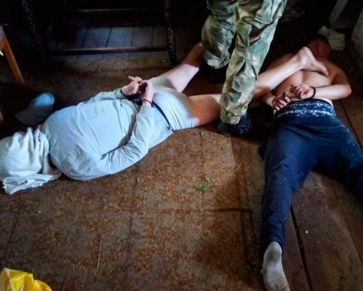 Конопля2-0911.jpg