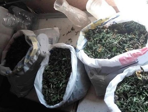 Двое москвичей задержаны с почти 2 килограммами сухого каннабиса