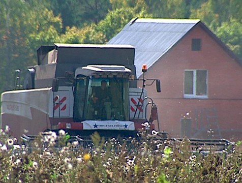 215 тысяч тонн зерновых и бобовых намолочено в Калужской области