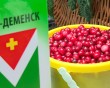 Спас-Деменск-рынок2-0930.jpg