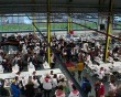 Открытие-Боско8-0930.jpg
