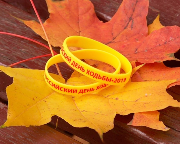 День-ходьбы1-1005.jpg