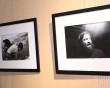 Фотовыставка-Соловьевой1-1009.jpg