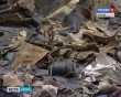Останки-самолёта1-0825.jpg