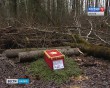 Останки-самолёта3-0825.jpg