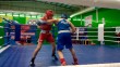 БОКС-КУБОК-УГРЫ-1209.jpg