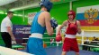 Бокс-кубок-угры2-1209.jpg