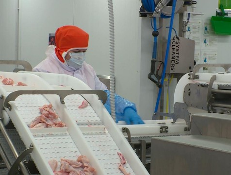 До 1000 тонн куриной продукции в месяц будет производить новый цех в Дзержинском районе