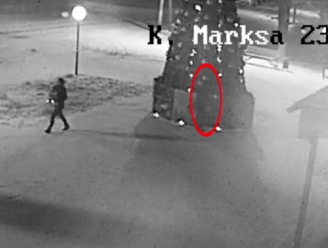 Две девушки разорили наряд новогодней елки в Кирове