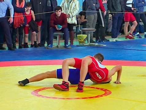 140 вольных борцов из России проведут поединки на Калужской земле