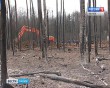 ЧП-газопровод1-0429.jpg