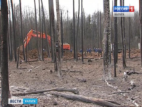 При пожаре на газопроводе пострадало более 2-х гектаров леса