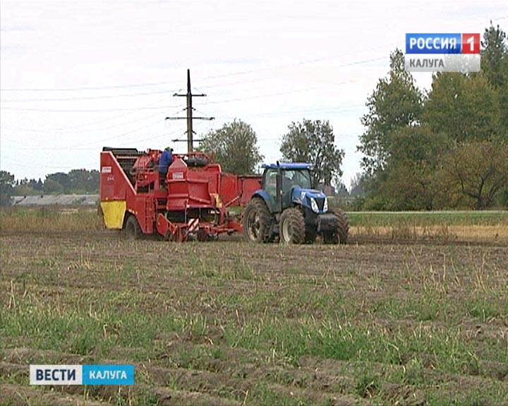 Уборка-картофеля0923_B.jpg