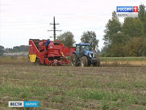 Калужские аграрии  воспользуются хорошей погодой для завершения сбора картофеля