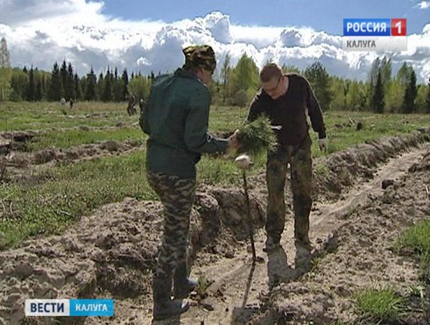 Чиновники и волонтеры посадили под Калугой 12 тысяч деревьев
