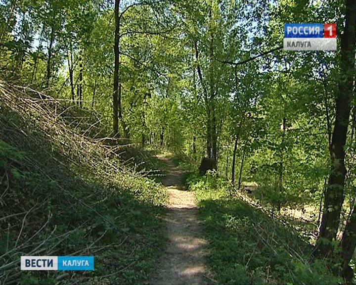 Березуйский-овраг0510.jpg