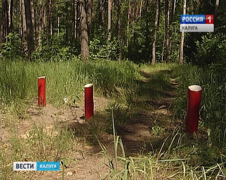 Лес0512.jpg