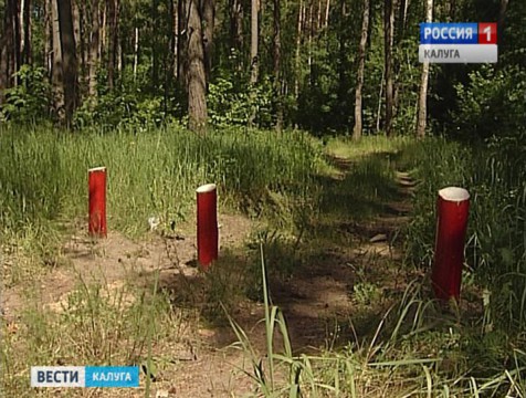 Леса Калужской области закрыли для посещения