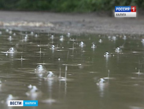 С понедельника в Калугу вернутся дожди