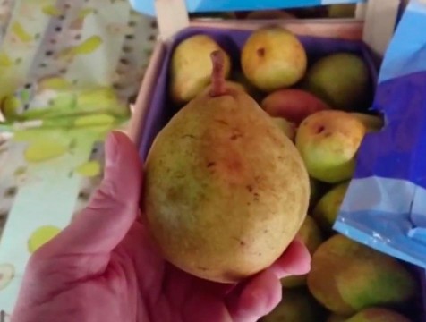 40 тонн груш из Республики Беларусь без документов, были конфискованы полицией