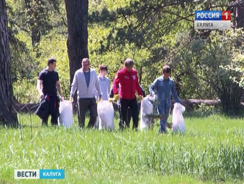 В Детчине волонтеры взялись за восстановление парка «Остров»