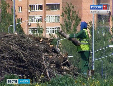 Предпринимателям могут смягчить наказание за нарушения в сфере благоустройства