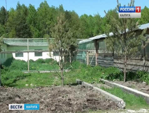 Из фермы в Перемышльском районе украли павлинов