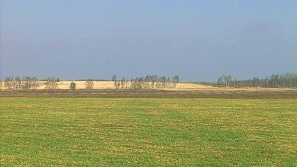 Поле0512.jpg