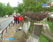 Флористы-в-Боровске3-0523.jpg
