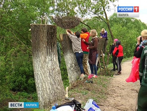 Московские дизайнеры-флористы оформили боровские пни