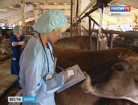 В Калуге выбрали лучшего ветеринара региона